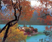 林芝天气预报60天