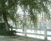 商城明天天气