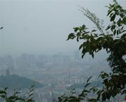 上虞天气预报10天
